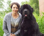 Превью фото № 209797