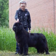 Превью фото № 209799