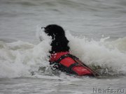 Превью фото № 209814