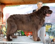 Превью фото № 209817