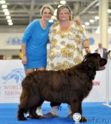 Превью фото № 209820