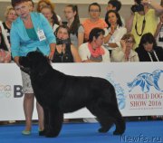 Превью фото № 209828