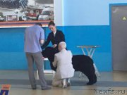 Превью фото № 209838