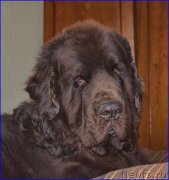 Превью фото № 209951