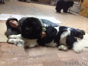 Превью фото № 209957