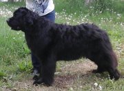 Превью фото № 209986