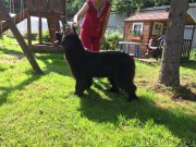 Превью фото № 210005