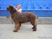 Превью фото № 210056