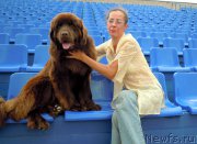 Превью фото № 210057