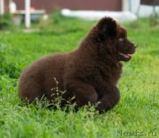 Превью фото № 210124