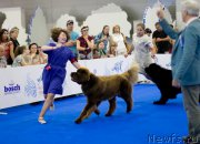 Превью фото № 210158