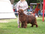 Превью фото № 210180