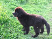 Превью фото № 210211