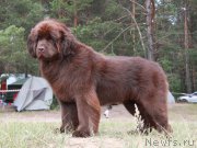 Превью фото № 210221