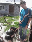 Превью фото № 210226