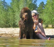 Превью фото № 210231