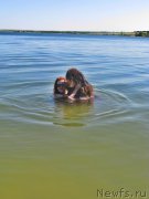 Превью фото № 210235