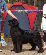 Превью фото № 210264