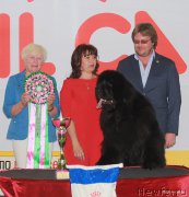 Превью фото № 210269