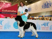 Превью фото № 210271