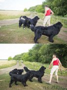 Превью фото № 210272