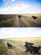 Превью фото № 210273