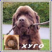 Превью фото № 210320