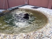 Превью фото № 210338