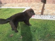 Превью фото № 210339