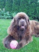 Превью фото № 210341