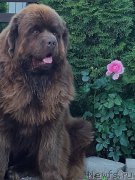 Превью фото № 210342