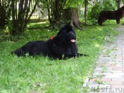 Превью фото № 210359