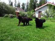 Превью фото № 210362