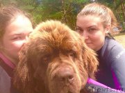 Превью фото № 210368