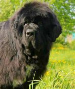 Превью фото № 210384