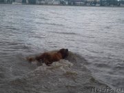 Превью фото № 210399