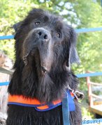 Превью фото № 210406