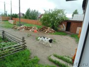 Превью фото № 210410