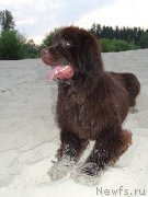 Превью фото № 210489