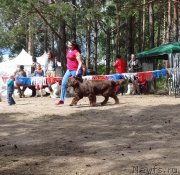 Превью фото № 210499