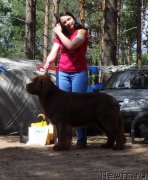 Превью фото № 210500