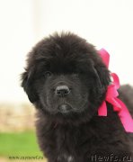 Превью фото № 210508