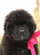 Превью фото № 210511