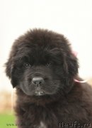 Превью фото № 210512