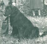 Превью фото № 2106