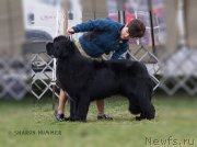 Превью фото № 210901