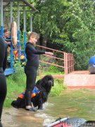 Превью фото № 210904