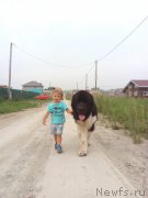 Превью фото № 210944