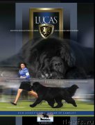 Превью фото № 210970