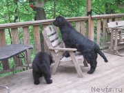 Превью фото № 210978